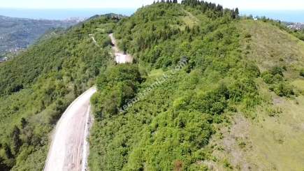 Trabzon Ortahisar Yeşilyurtta Satılık Arazi 15