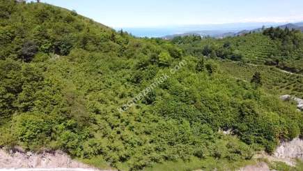Trabzon Ortahisar Yeşilyurtta Satılık Arazi 1