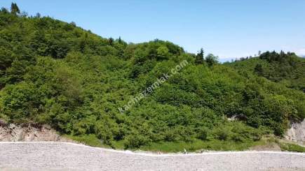 Trabzon Ortahisar Yeşilyurtta Satılık Arazi 5