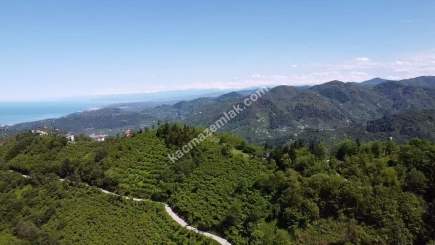 Trabzon Ortahisar Yeşilyurtta Satılık Arazi 17