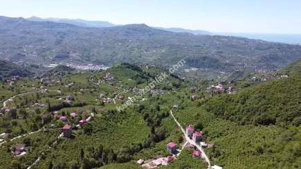 Trabzon Ortahisar Yeşilyurtta Satılık Arazi 6