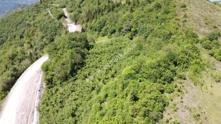 Trabzon Ortahisar Yeşilyurtta Satılık Arazi 20