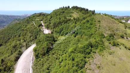 Trabzon Ortahisar Yeşilyurtta Satılık Arazi 11