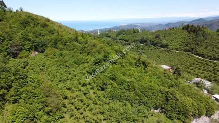 Trabzon Ortahisar Yeşilyurtta Satılık Arazi 21