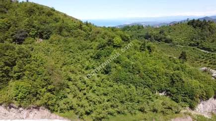 Trabzon Ortahisar Yeşilyurtta Satılık Arazi 2