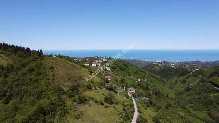 Trabzon Ortahisar Yeşilyurtta Satılık Arazi 16