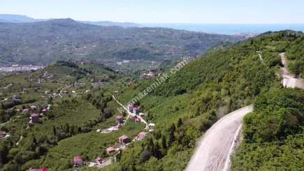 Trabzon Ortahisar Yeşilyurtta Satılık Arazi 22