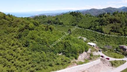 Trabzon Ortahisar Yeşilyurtta Satılık Arazi 3