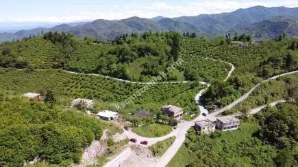 Trabzon Ortahisar Yeşilyurtta Satılık Arazi 4