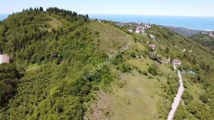 Trabzon Ortahisar Yeşilyurtta Satılık Arazi 18
