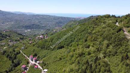 Trabzon Ortahisar Yeşilyurtta Satılık Arazi 7