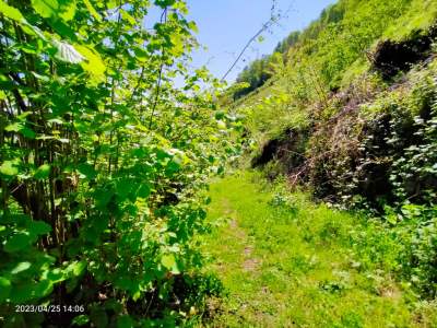Trabzon Vakfikebir Esen Tepe Mah Satılık Arazi 8
