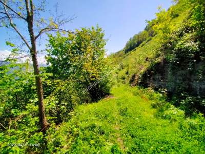 Trabzon Vakfikebir Esen Tepe Mah Satılık Arazi 12