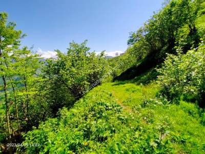 Trabzon Vakfikebir Esen Tepe Mah Satılık Arazi 2