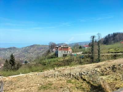Trabzon Yomra Gürsel Mahallesi'nde Satılık Arazi 9