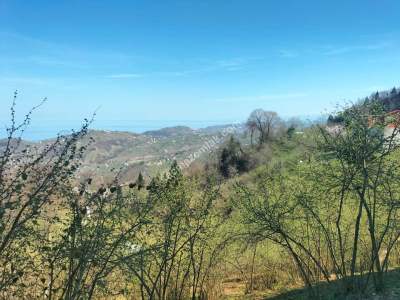 Trabzon Yomra Gürsel Mahallesi'nde Satılık Arazi 8