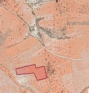 Yola Sıfır Oğuzeli Buldukda 10 Dönüm Tek Tapu Fıstıklık 32