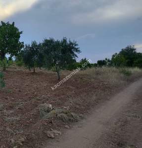 Yola Sıfır Oğuzeli Buldukda 10 Dönüm Tek Tapu Fıstıklık 30