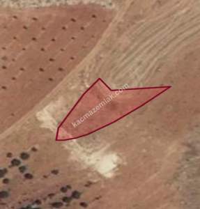 Oğuzeli Çaybaşında 800 M2 Tek Tapu Uygun Tarla 19