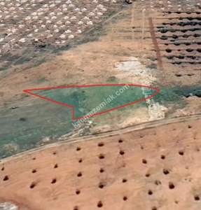 Oğuzeli Çaybaşında 800 M2 Tek Tapu Uygun Tarla 15