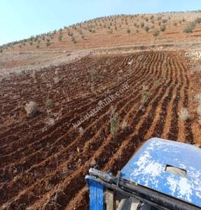 Oğuzeli Çaybaşında 800 M2 Tek Tapu Uygun Tarla 2