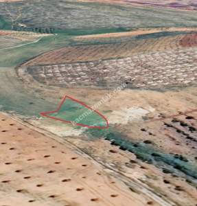 Oğuzeli Çaybaşında 800 M2 Tek Tapu Uygun Tarla 18