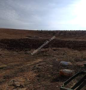 Oğuzeli Çaybaşında 800 M2 Tek Tapu Uygun Tarla 8