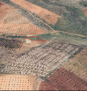 Oğuzeli Çaybaşında 800 M2 Tek Tapu Uygun Tarla 13