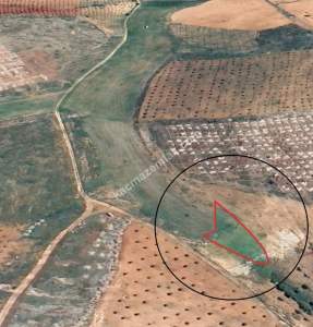 Oğuzeli Çaybaşında 800 M2 Tek Tapu Uygun Tarla 10