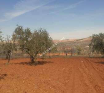 Oğuzeli Subaşında 6300 M2 Harika Manzaralı Fırsat Yer 16