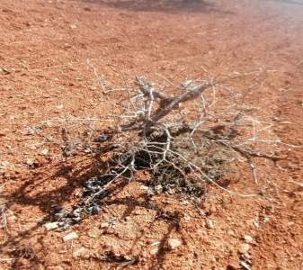 Oğuzeli Subaşında 6300 M2 Harika Manzaralı Fırsat Yer 29