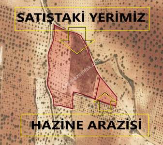 Oğuzeli Subaşında 6300 M2 Harika Manzaralı Fırsat Yer 8