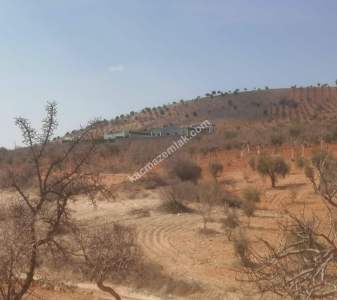 Oğuzeli Subaşında 6300 M2 Harika Manzaralı Fırsat Yer 26