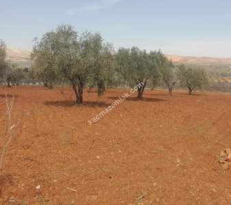 Oğuzeli Subaşında 6300 M2 Harika Manzaralı Fırsat Yer 13