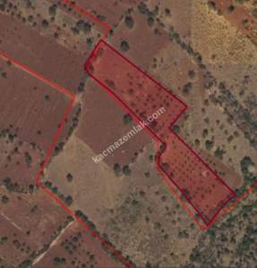 Eskişarkaya Da 6450 M² Tek Tapu Fırsat Yer 2