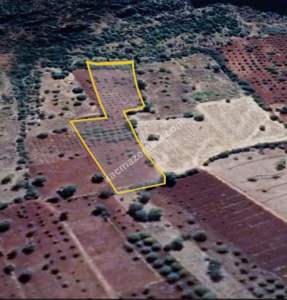 Eskişarkaya Da 6450 M² Tek Tapu Fırsat Yer 15