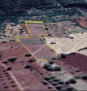 Eskişarkaya Da 6450 M² Tek Tapu Fırsat Yer 16