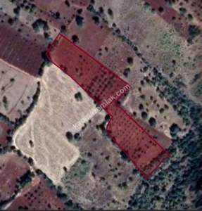 Eskişarkaya Da 6450 M² Tek Tapu Fırsat Yer 1