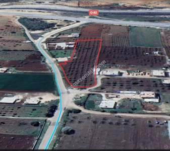 Asfalta Sıfır Köksalan Da 7.5 Dönüm Tek Tapu Yer 12