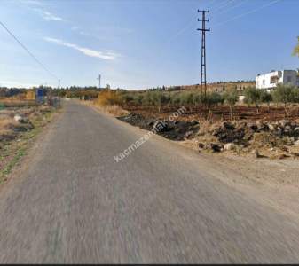 Asfalta Sıfır Köksalan Da 7.5 Dönüm Tek Tapu Yer 5