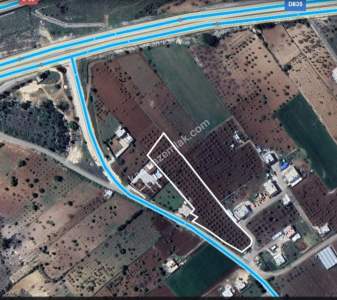 Asfalta Sıfır Köksalan Da 7.5 Dönüm Tek Tapu Yer 11