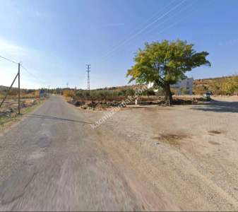 Asfalta Sıfır Köksalan Da 7.5 Dönüm Tek Tapu Yer 4