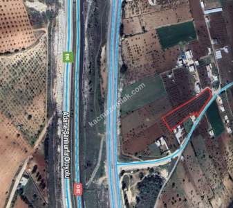 Asfalta Sıfır Köksalan Da 7.5 Dönüm Tek Tapu Yer 15