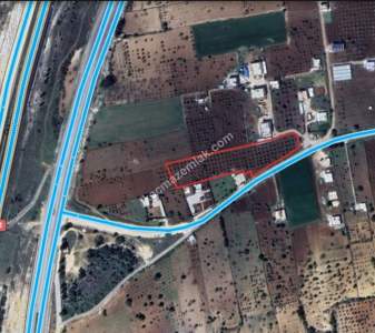Asfalta Sıfır Köksalan Da 7.5 Dönüm Tek Tapu Yer 17