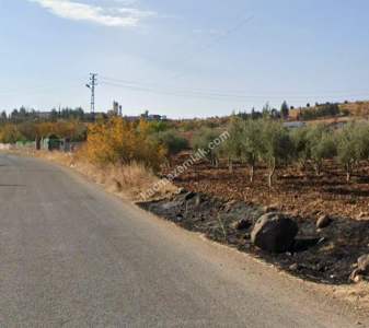 Asfalta Sıfır Köksalan Da 7.5 Dönüm Tek Tapu Yer 3