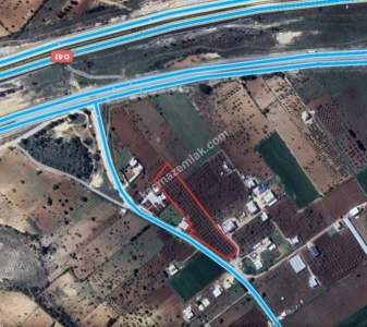 Asfalta Sıfır Köksalan Da 7.5 Dönüm Tek Tapu Yer 1