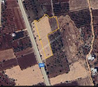 Yola Sıfır Yamaçoba Da 10 Dönüm Tek Tapu Tarla 11