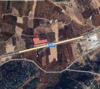 Yola Sıfır Yamaçoba Da 10 Dönüm Tek Tapu Tarla 14