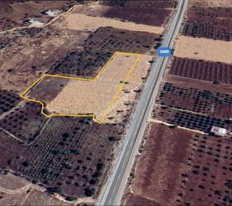 Yola Sıfır Yamaçoba Da 10 Dönüm Tek Tapu Tarla 2