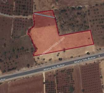 Yola Sıfır Yamaçoba Da 10 Dönüm Tek Tapu Tarla 8